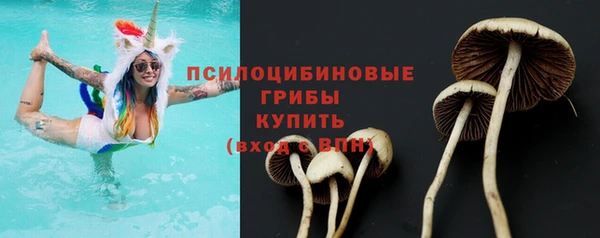 соль курить ск Арсеньев