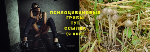 прущая мука Армянск