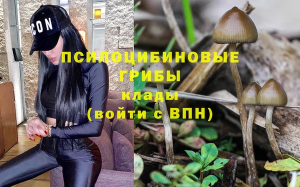 прущая мука Армянск