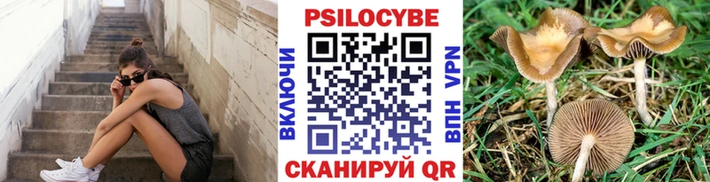 Галлюциногенные грибы Psilocybine cubensis  Озёры 